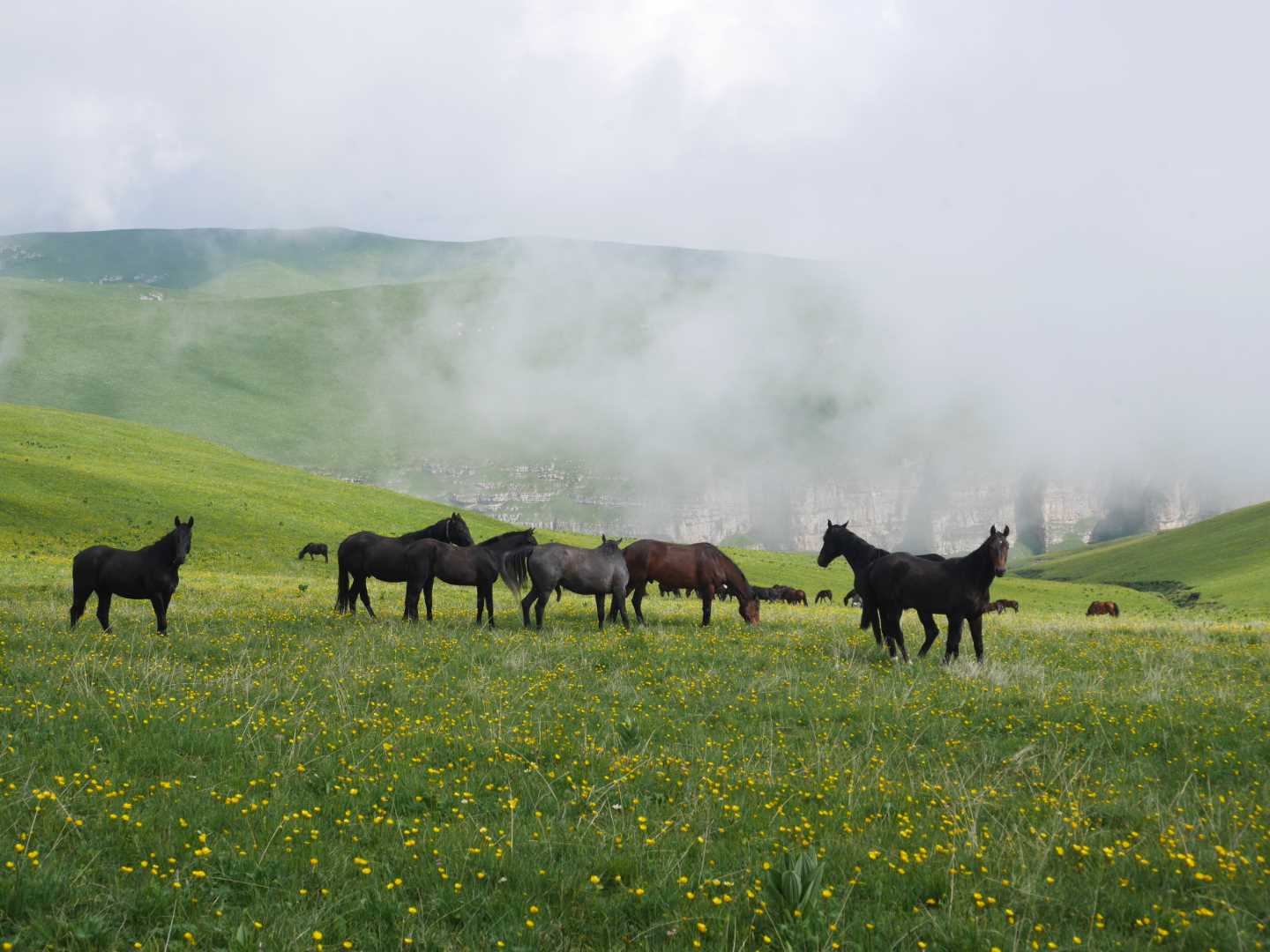Pioneering Horseback expedition in Kabardino Balkaria